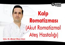 Kalp Romatizması (Akut Romatizmal Ateş Hastalığı)