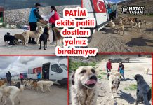 PATİM ekibi patili dostları yalnız bırakmıyor