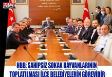 HBB: SAHİPSİZ SOKAK HAYVANLARININ TOPLATILMASI İLÇE BELEDİYELERİN GÖREVİDİR