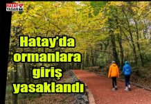 Hatay’da ormanlara giriş yasaklandı