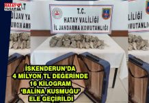 İSKENDERUN’DA 4 MİLYON TL DEĞERİNDE 16 KİLOGRAM ‘BALİNA KUSMUĞU’ ELE GEÇİRİLDİ