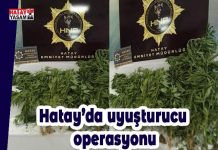 Hatay’da uyuşturucu operasyonu