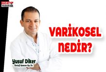VARİKOSEL NEDİR?