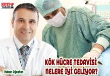 KÖK HÜCRE TEDAVİSİ NELERE İYİ GELİYOR?
