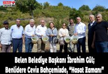 Belen Belediye Başkanı İbrahim Gül; Benlidere Ceviz Bahçemizde, “Hasat Zamanı”