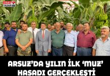 ARSUZ’DA YILIN İLK ‘MUZ’ HASADI GERÇEKLEŞTİ