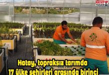 Hatay, topraksız tarımda 17 ülke şehirleri arasında birinci