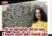 Bir ton ağırlığında, 500 bin taşla 3 boyutlu zeytin ağacı mozaiği yaptı