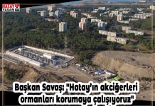 Başkan Savaş: “Hatay’ın akciğerleri ormanları korumaya çalışıyoruz”