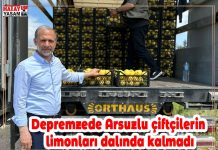 Depremzede Arsuzlu çiftçilerin limonları dalında kalmadı