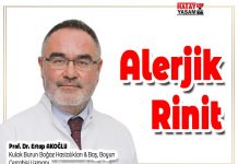 Alerjik Rinit Nedir?