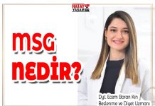 MSG NEDİR?