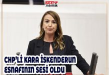CHP’Lİ KARA İSKENDERUN ESNAFININ SESİ OLDU