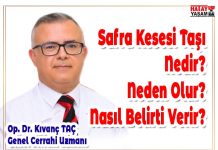 Safra Kesesi Taşı Nedir? Neden Olur? Nasıl Belirti Verir?