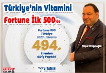 Türkiye’nin Vitamini Fortune İlk 500’de